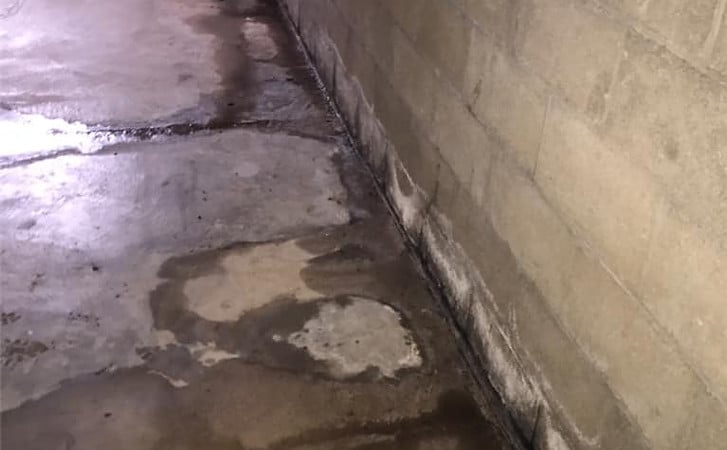 A Better Choice, Inc. work photo