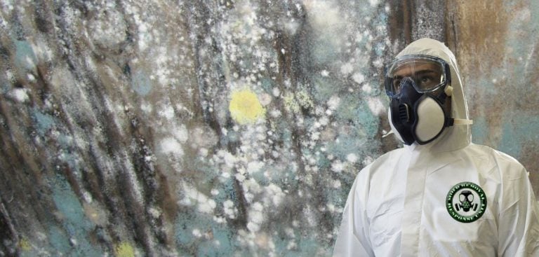 A1 Water & Mold Removal MA cover photo