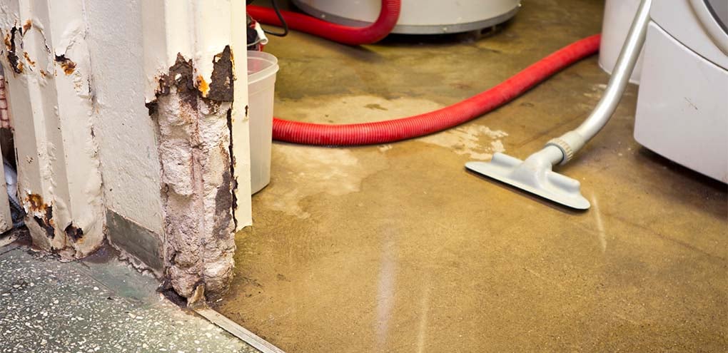 AdvantaClean of Chattanooga work photo