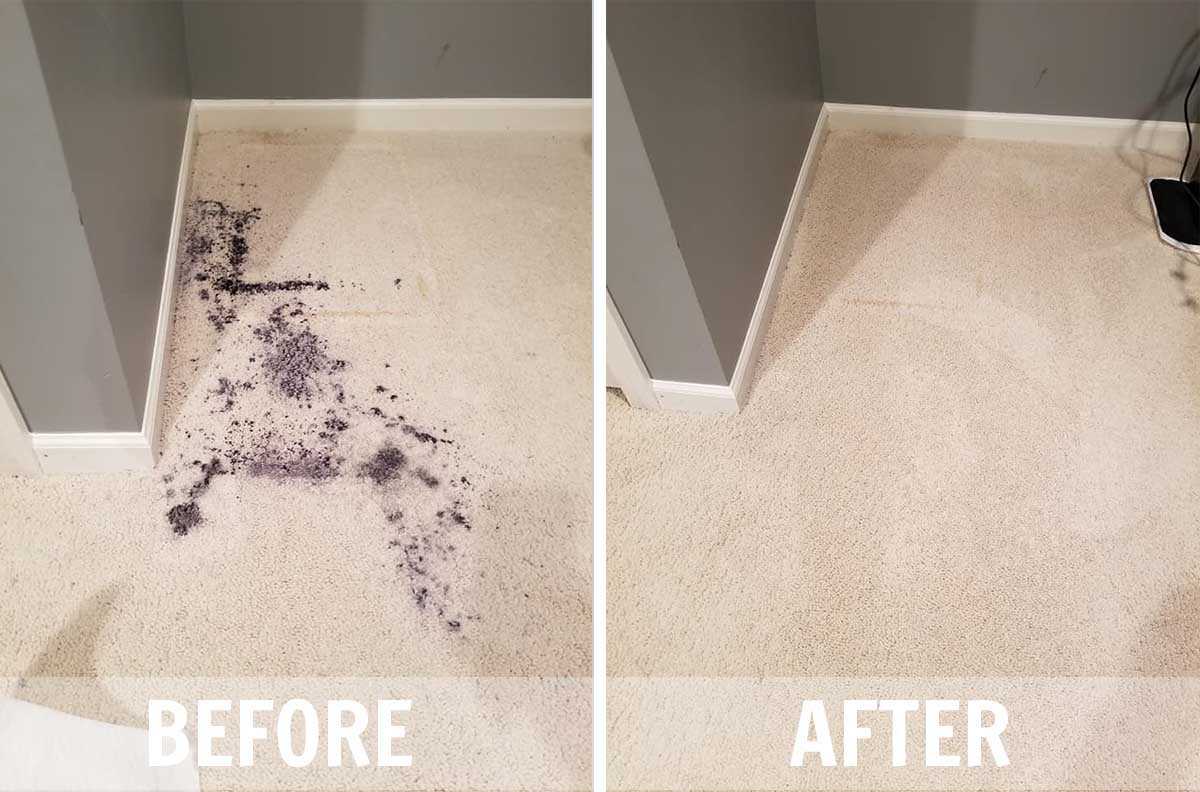@ Your Service, Inc Professional Rug Washing Service. cover photo