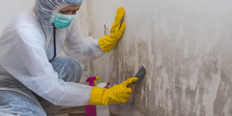 Five Boro Mold Specialist work photo