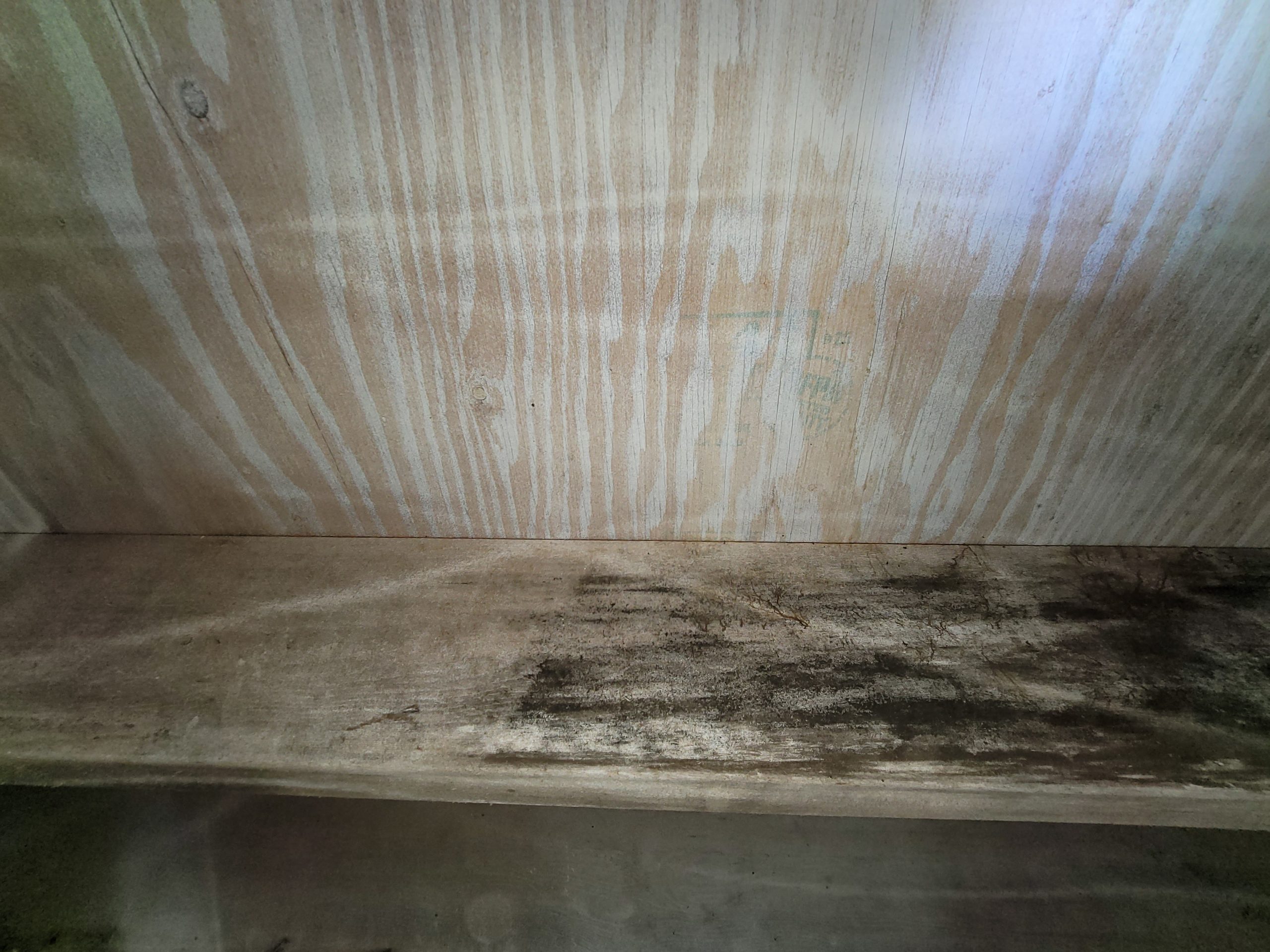 Hayes Crawlspace and Construction cover photo