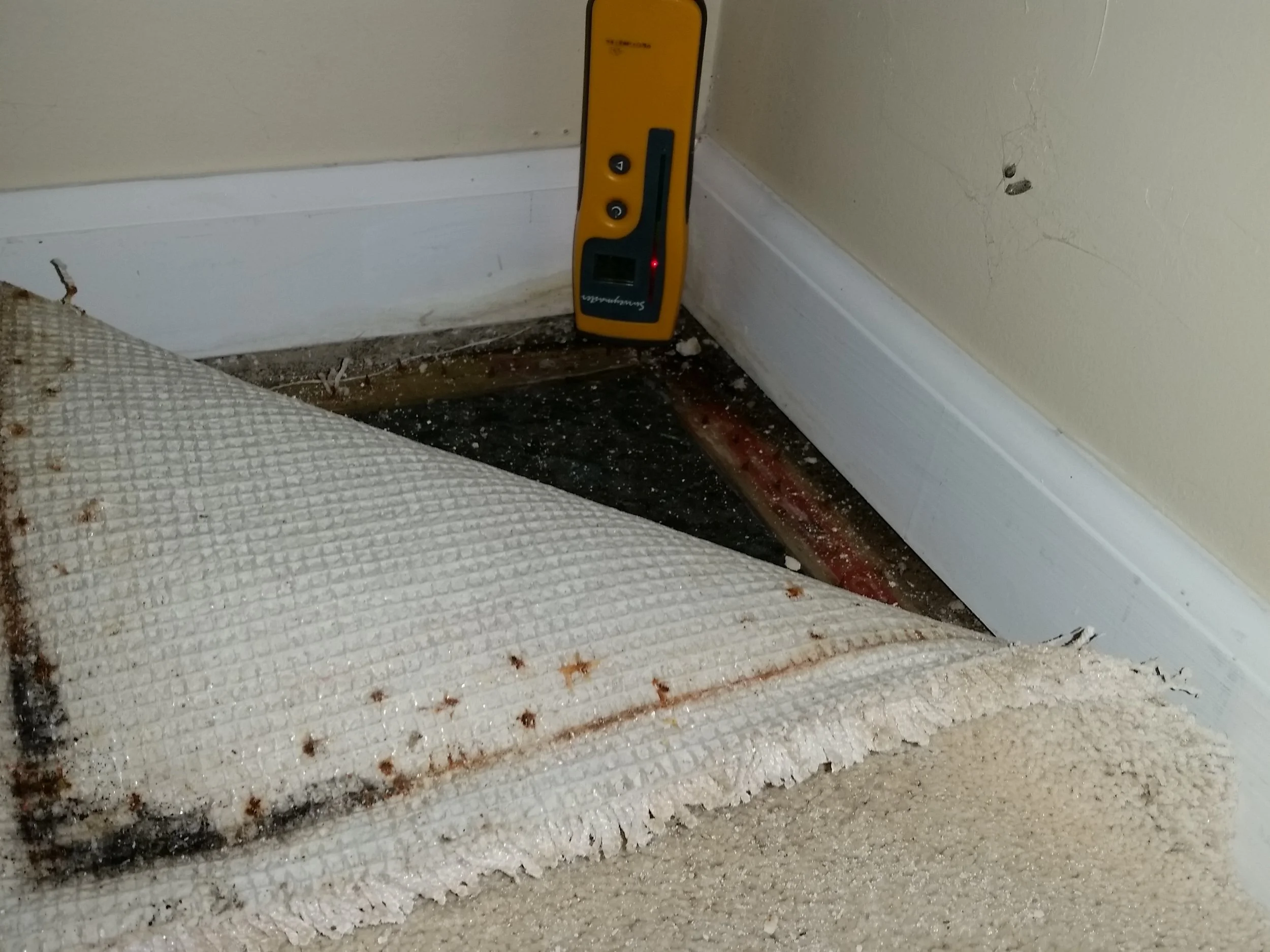 Minnesota Mold Inspection, LLC cover photo