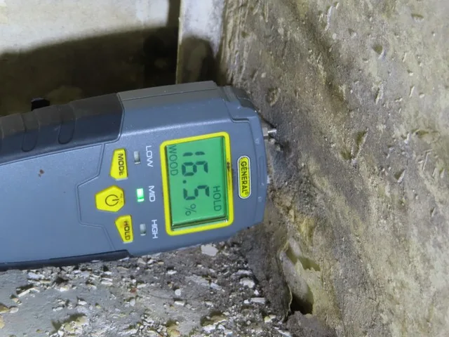 Golden State Mold Inspections cover photo