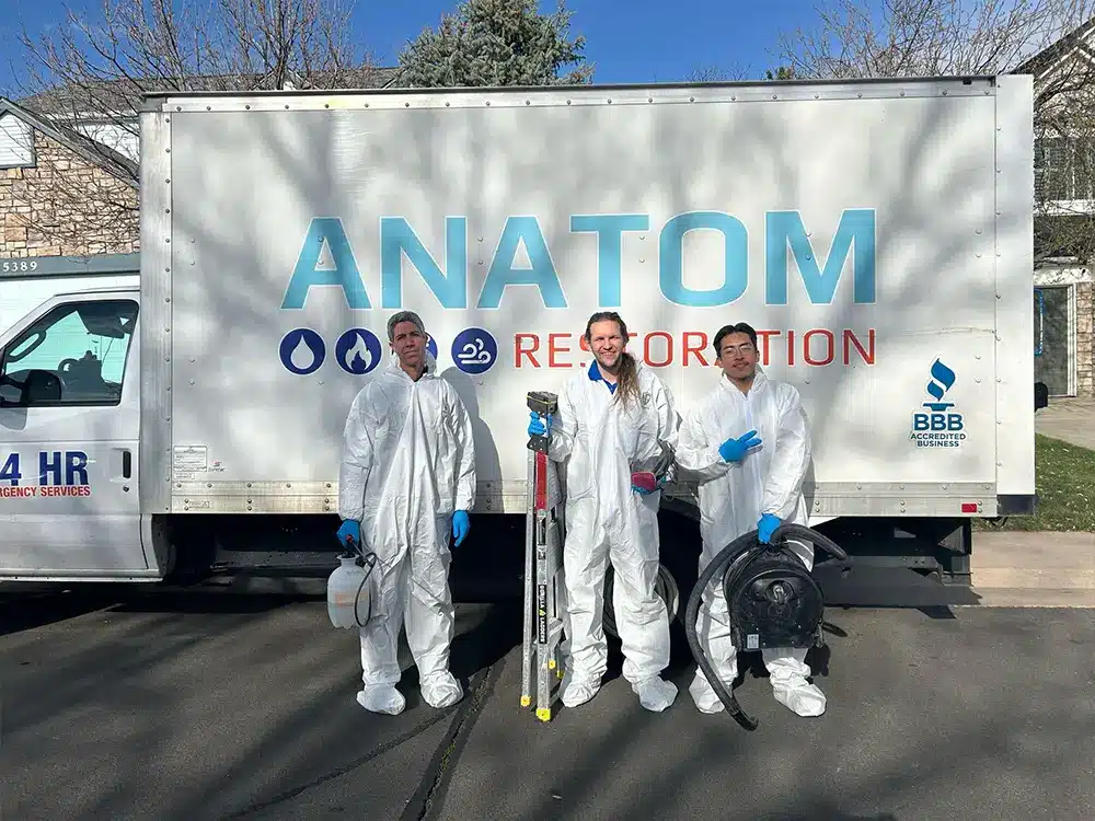 Anatom Restoration work photo