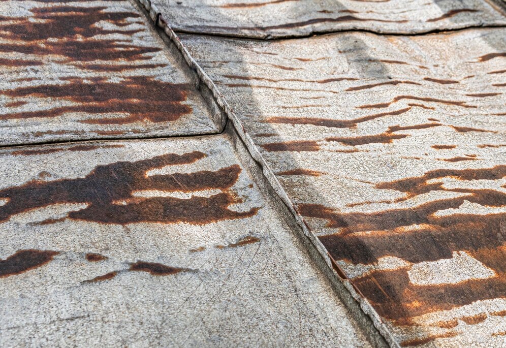 Elements Water Damage & Flood Repair Denver Cherry Creek cover photo