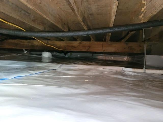 Olympic Restoration Systems work photo