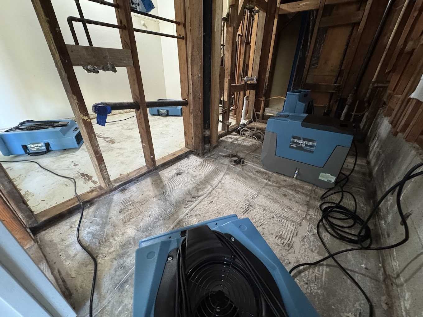 White Glove Water Damage Restoration cover photo