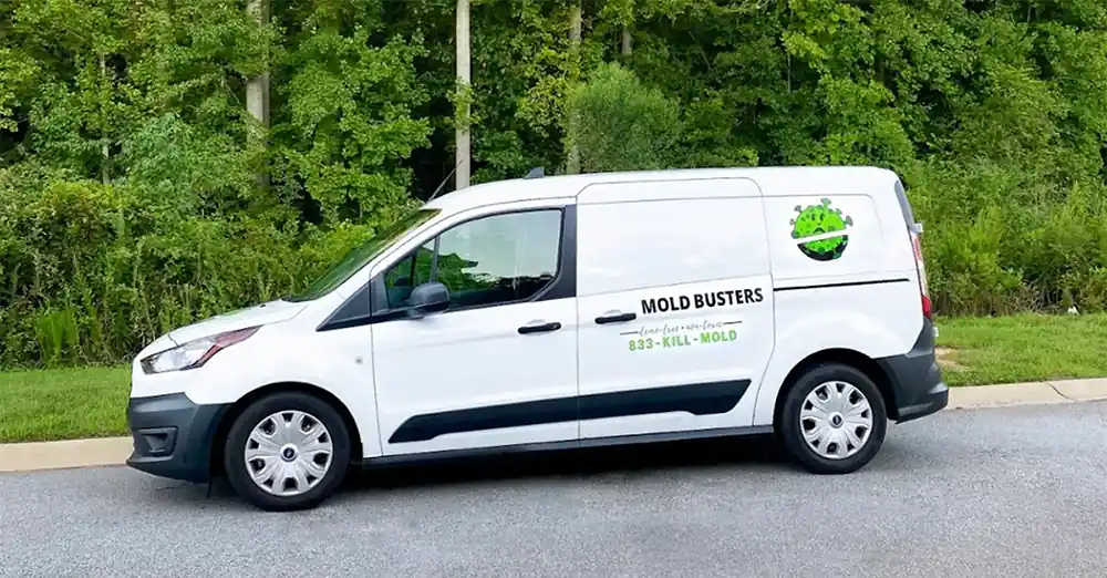 Mold Busters Greenville work photo