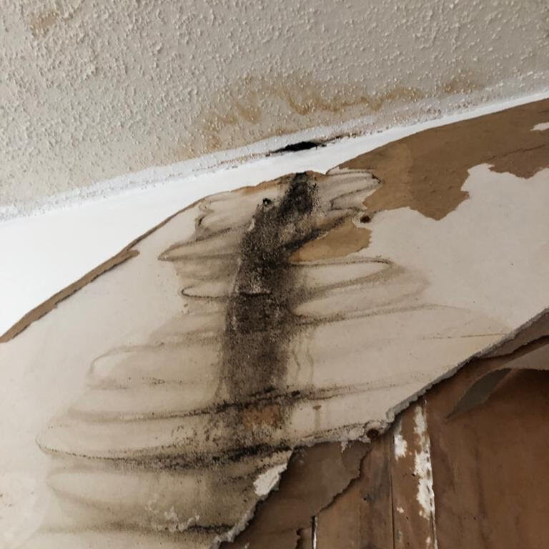 Florida Water & Mold Restoration work photo