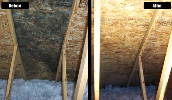 Asbestos and Mold Services in Akron, OH cover photo