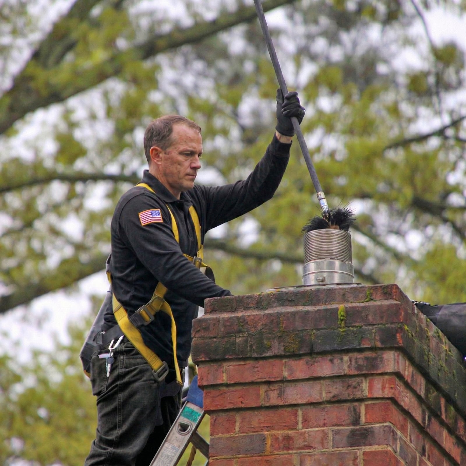 Chimcare work photo
