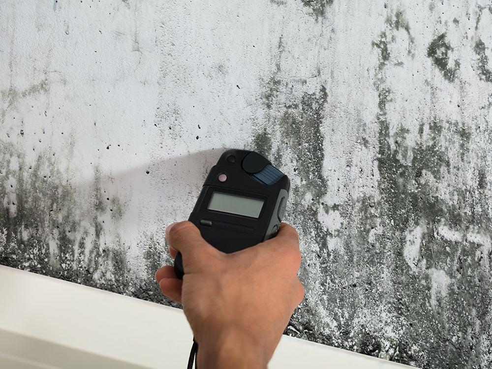 SafeAir Certified Mold Inspection Inc. work photo