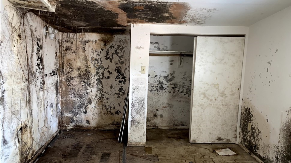 Flood Pros USA work photo