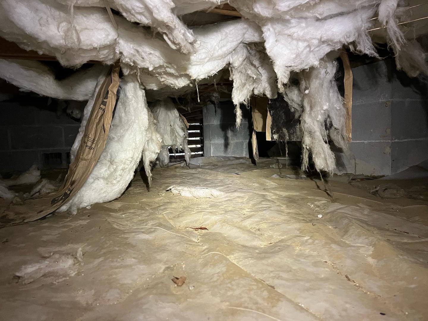 All Pro Crawlspace Solutions work photo
