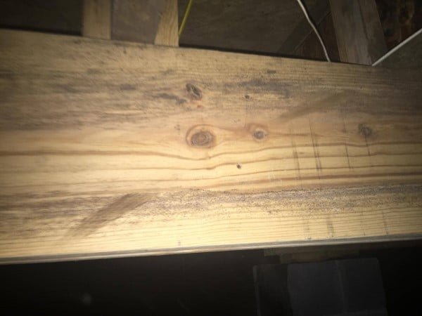 Lightspeed Restoration of West Nashville work photo