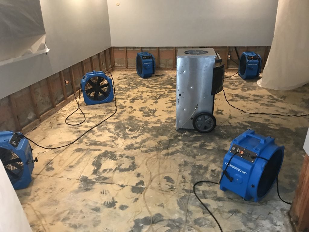 Certified Mold & Water Damage Restoration LLC cover photo
