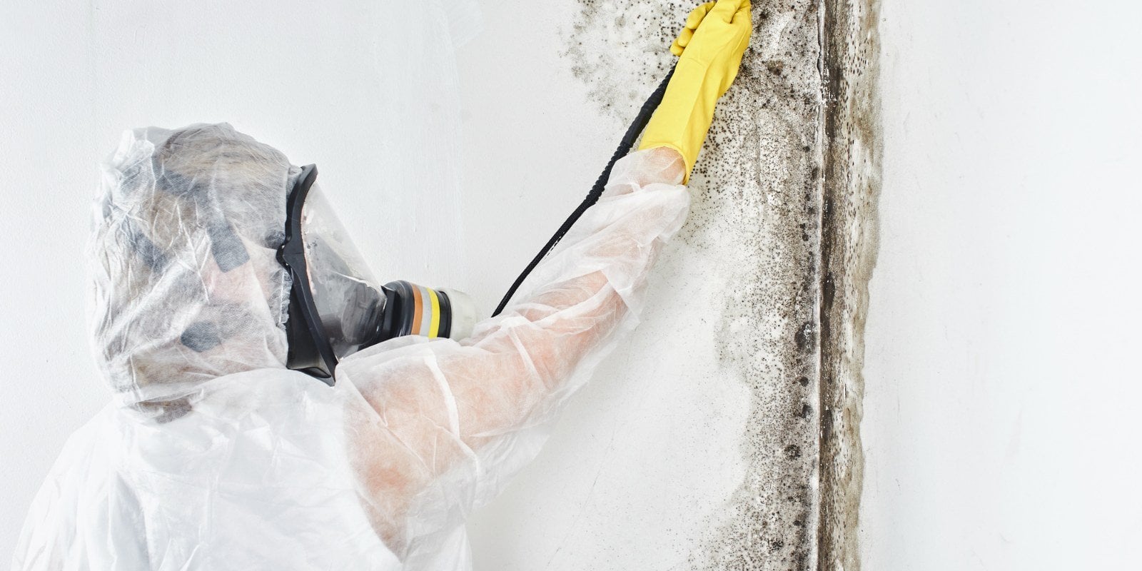 Seattle Mold Solutions work photo