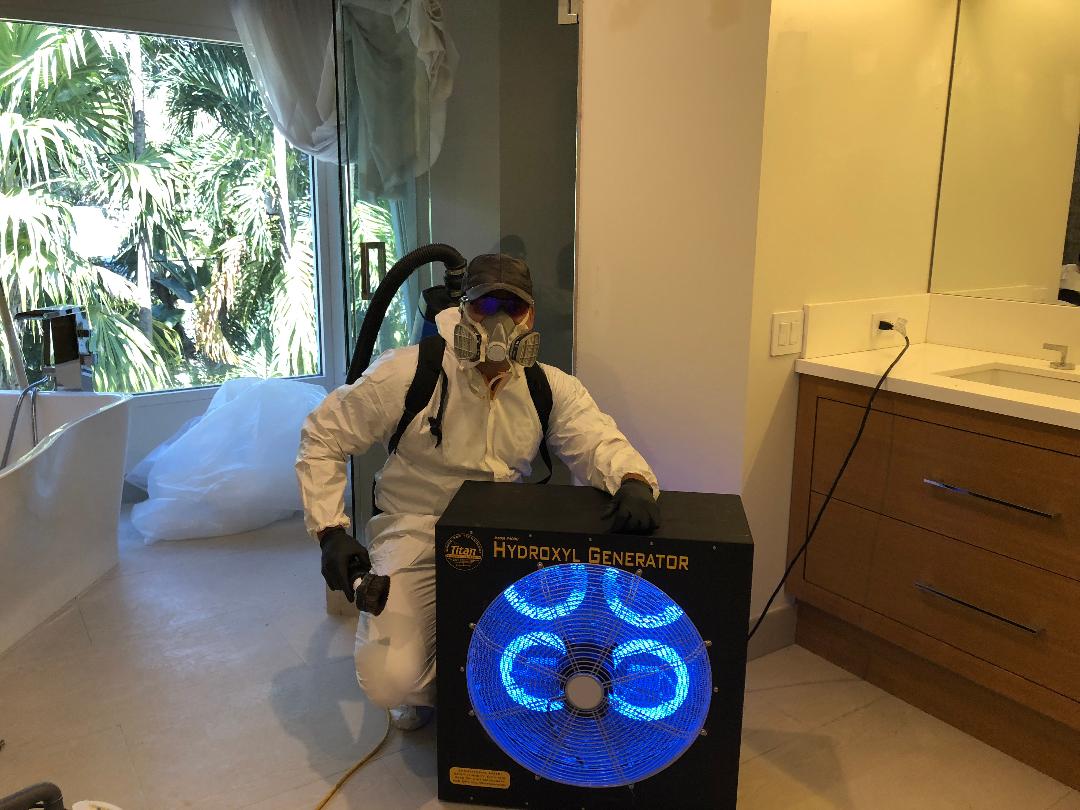 Instacure Mold Removal work photo