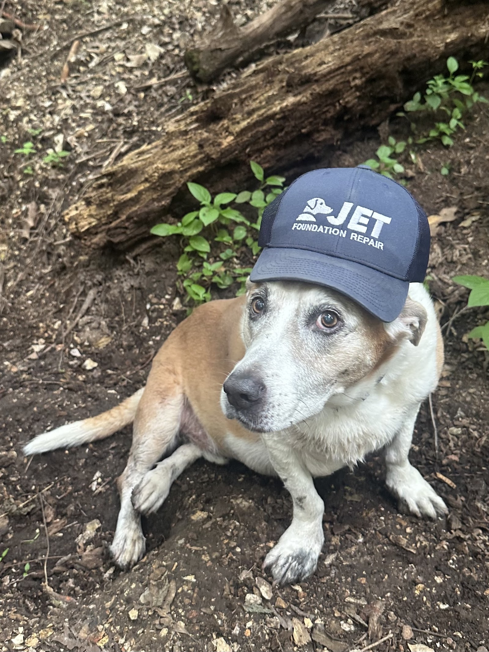 Jet Foundation Repair cover photo