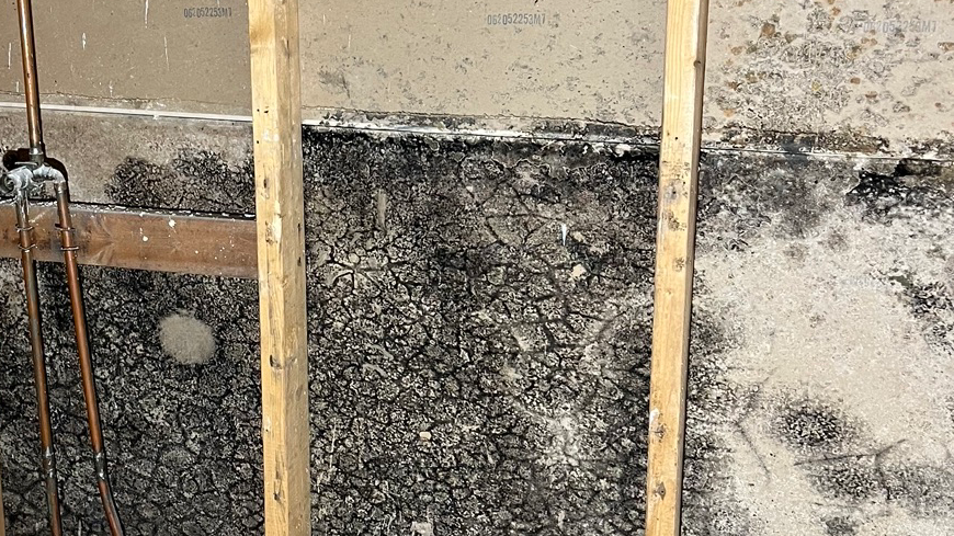 Quality Mold Solutions, LLC. work photo
