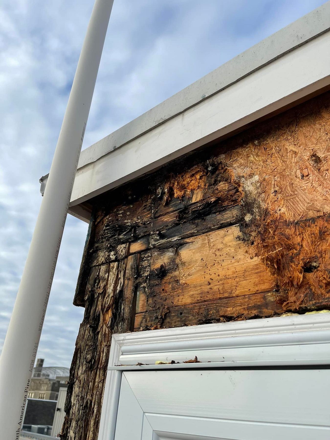 Anvil Remediation cover photo
