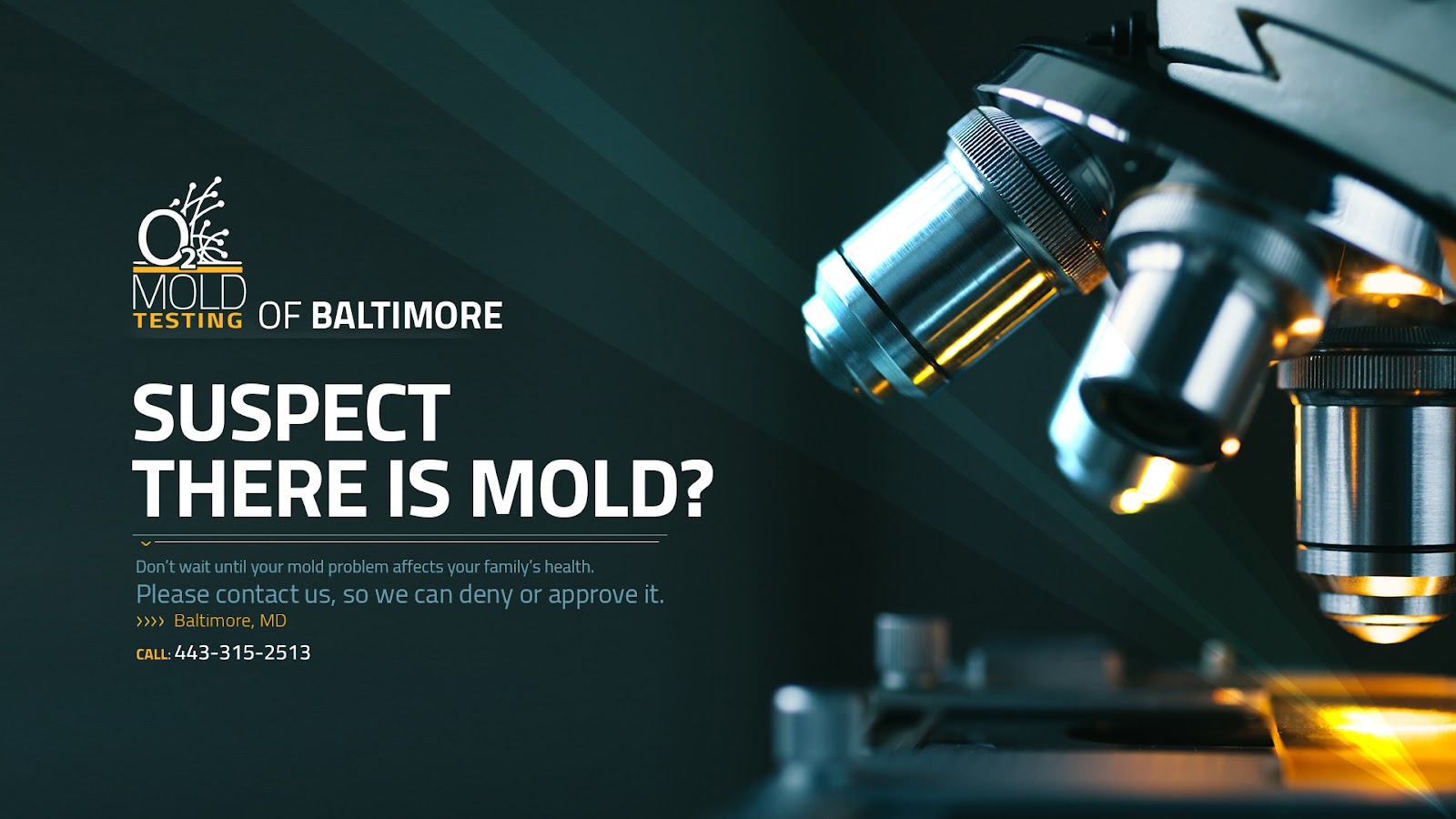 O2 Mold Testing of Baltimore work photo
