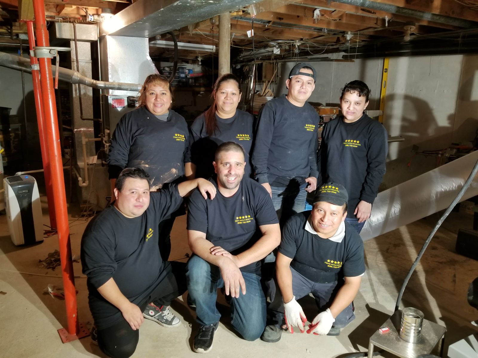 Prime Mold Removal Brooklyn work photo