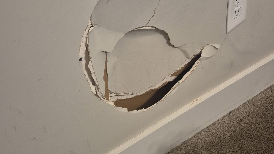 Patch Perfect Drywall And Repair work photo