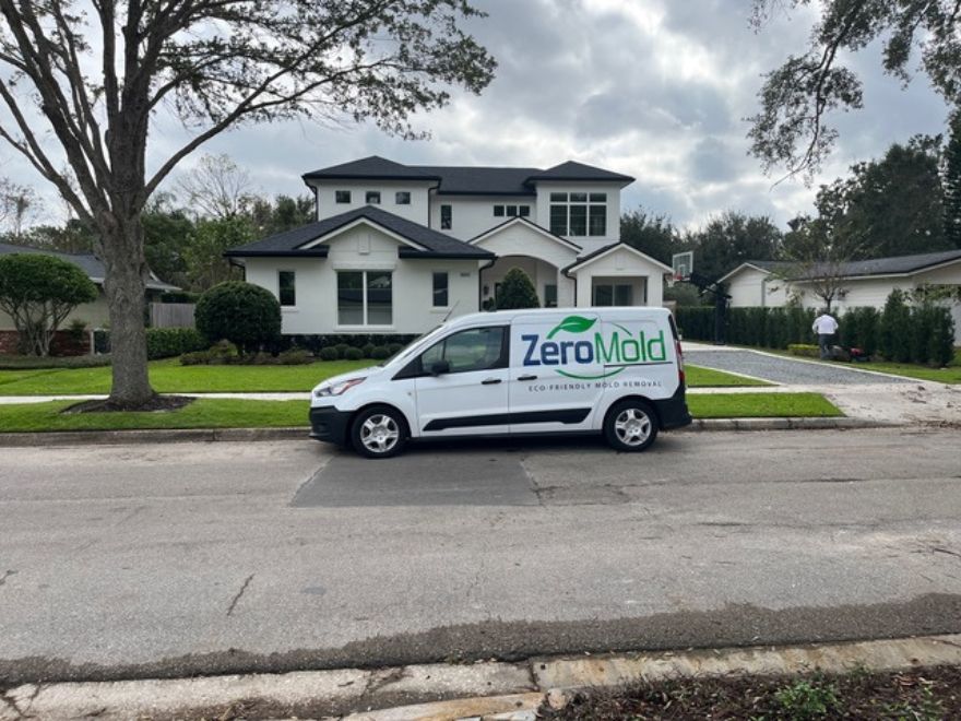 ZeroMold Nashville Mold Remediation cover photo