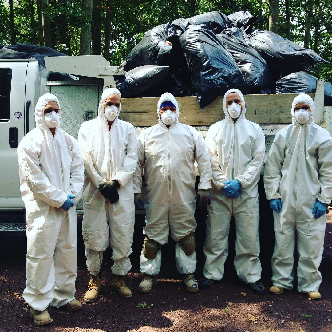 Pollution Solutions Remediation & Mold Services cover photo