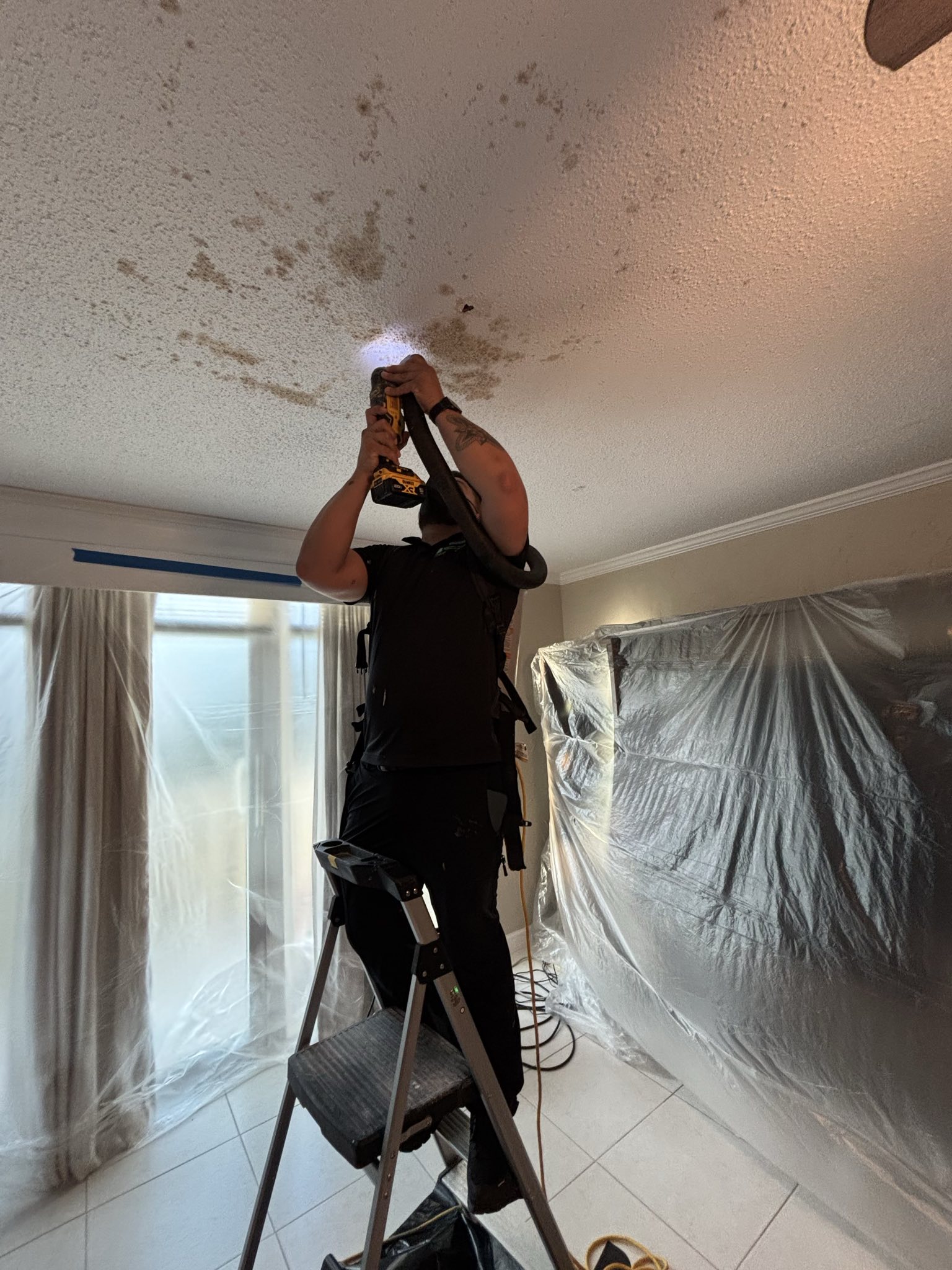 Mold Solutions Tampa Bay work photo