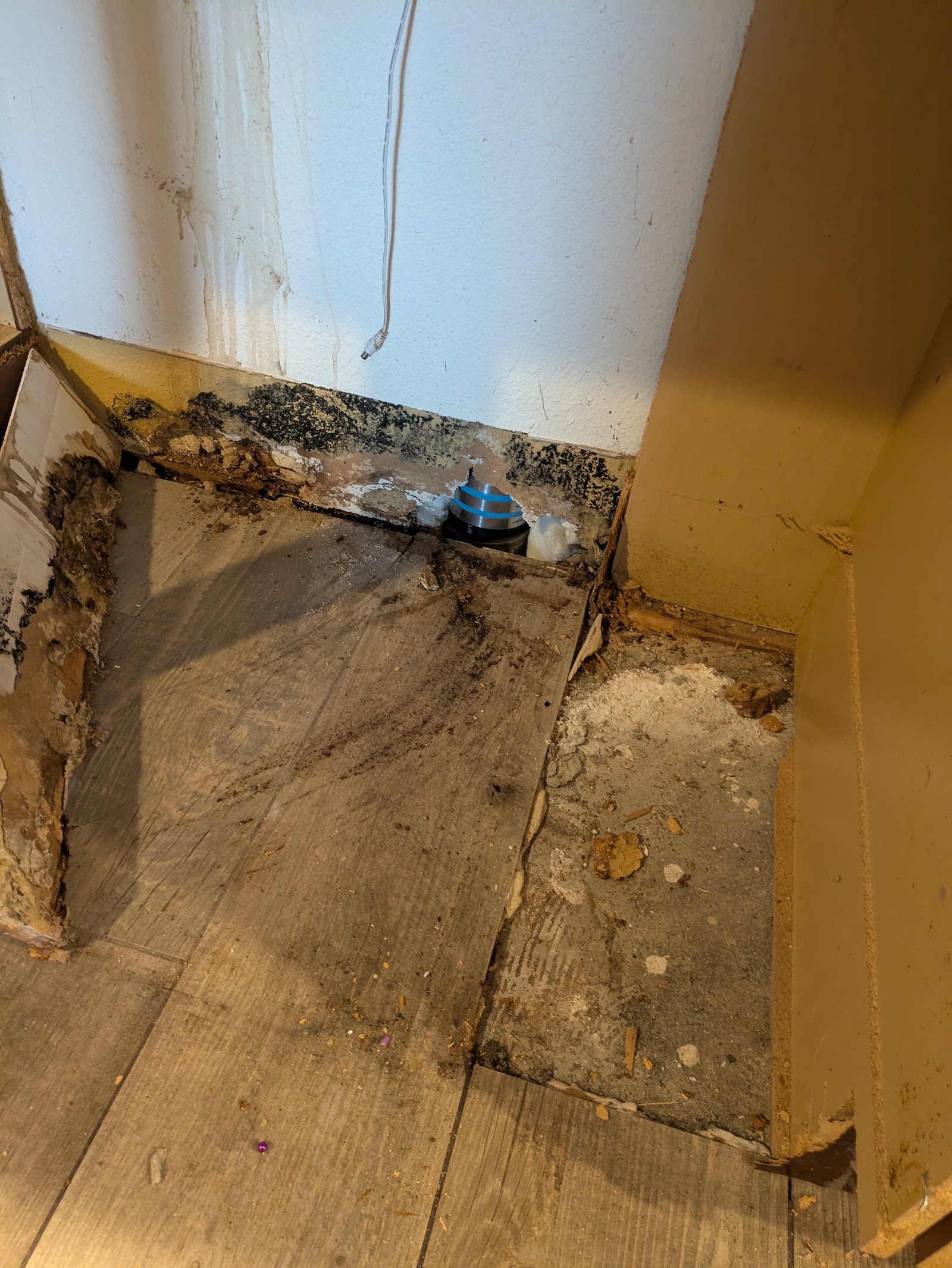 Risk Free Serv Water Damage Repair Carlsbad work photo