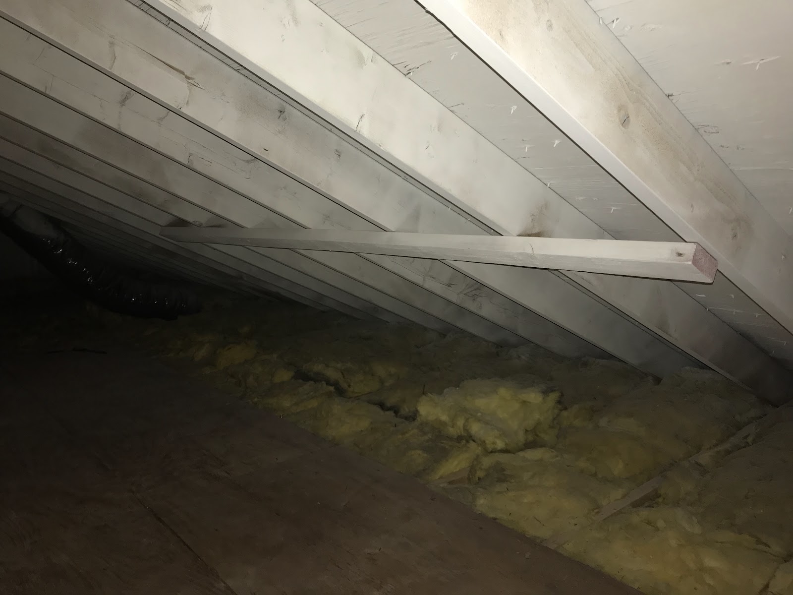 Mold Abatement Contractors work photo