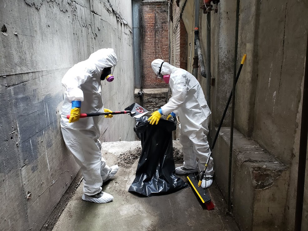Las Vegas Mold Removal Testing and Inspection work photo