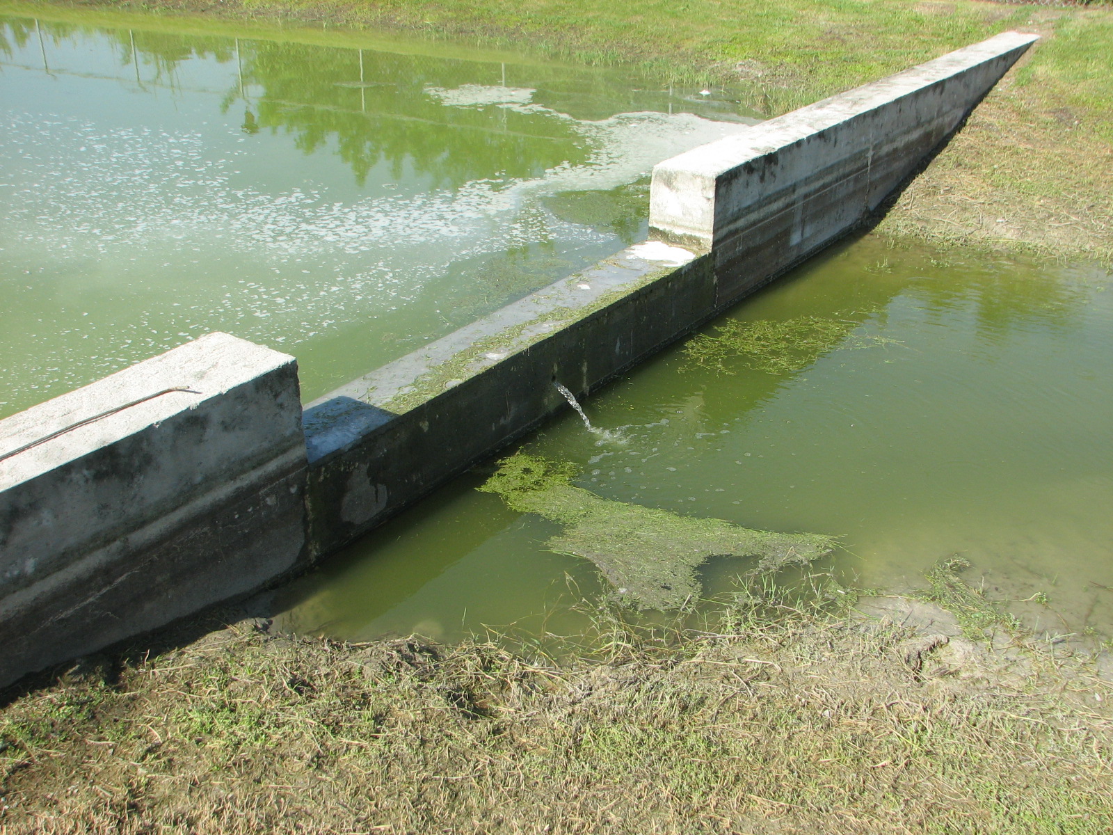 Environmental Safety Consultants, Inc. work photo