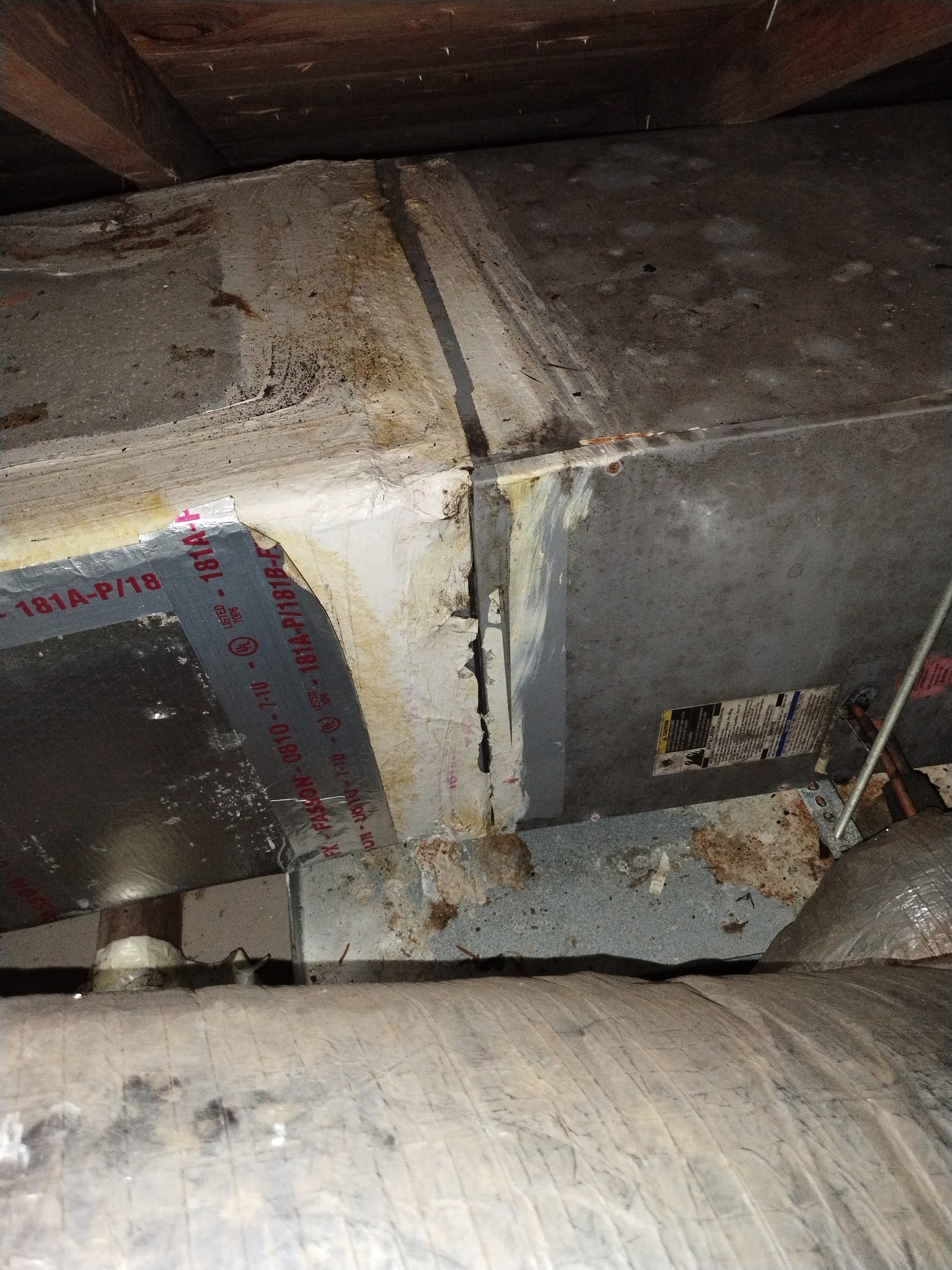Florida Mold Testing Experts Tampa, LLC work photo