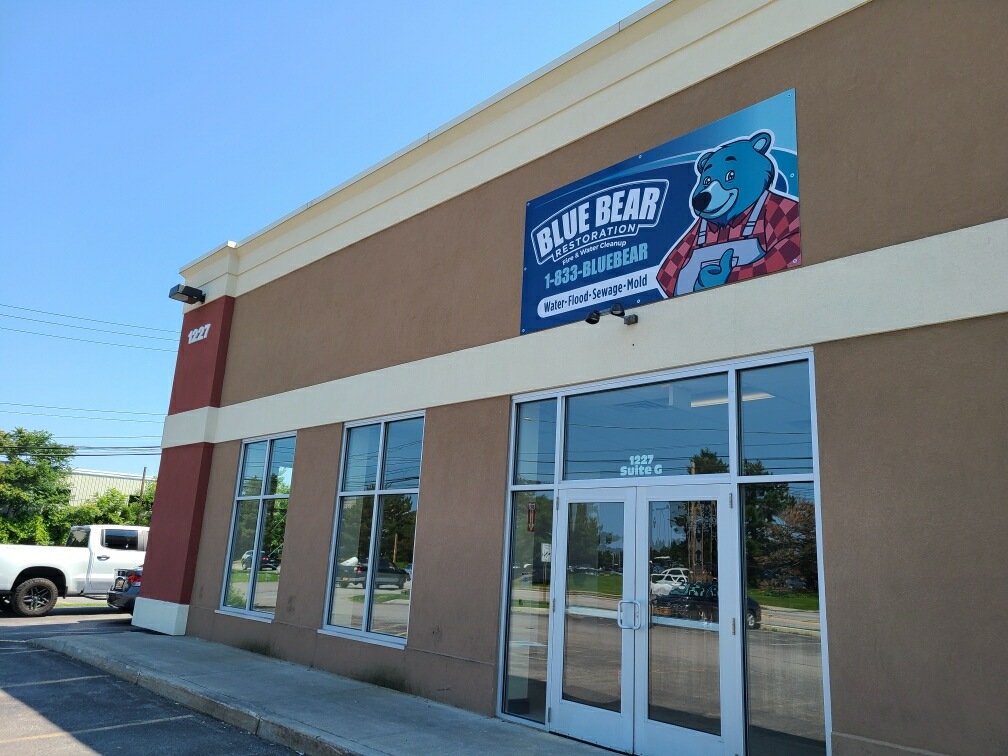 Blue Bear, Inc. work photo