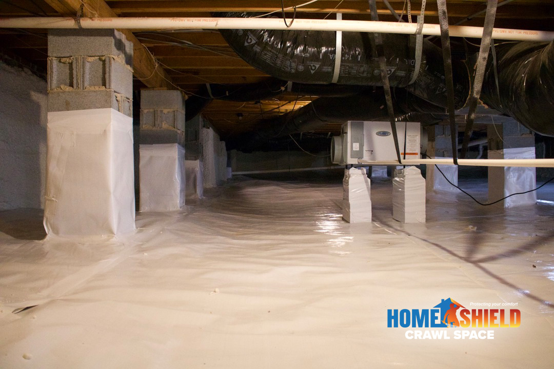 Home Shield Crawl Space work photo
