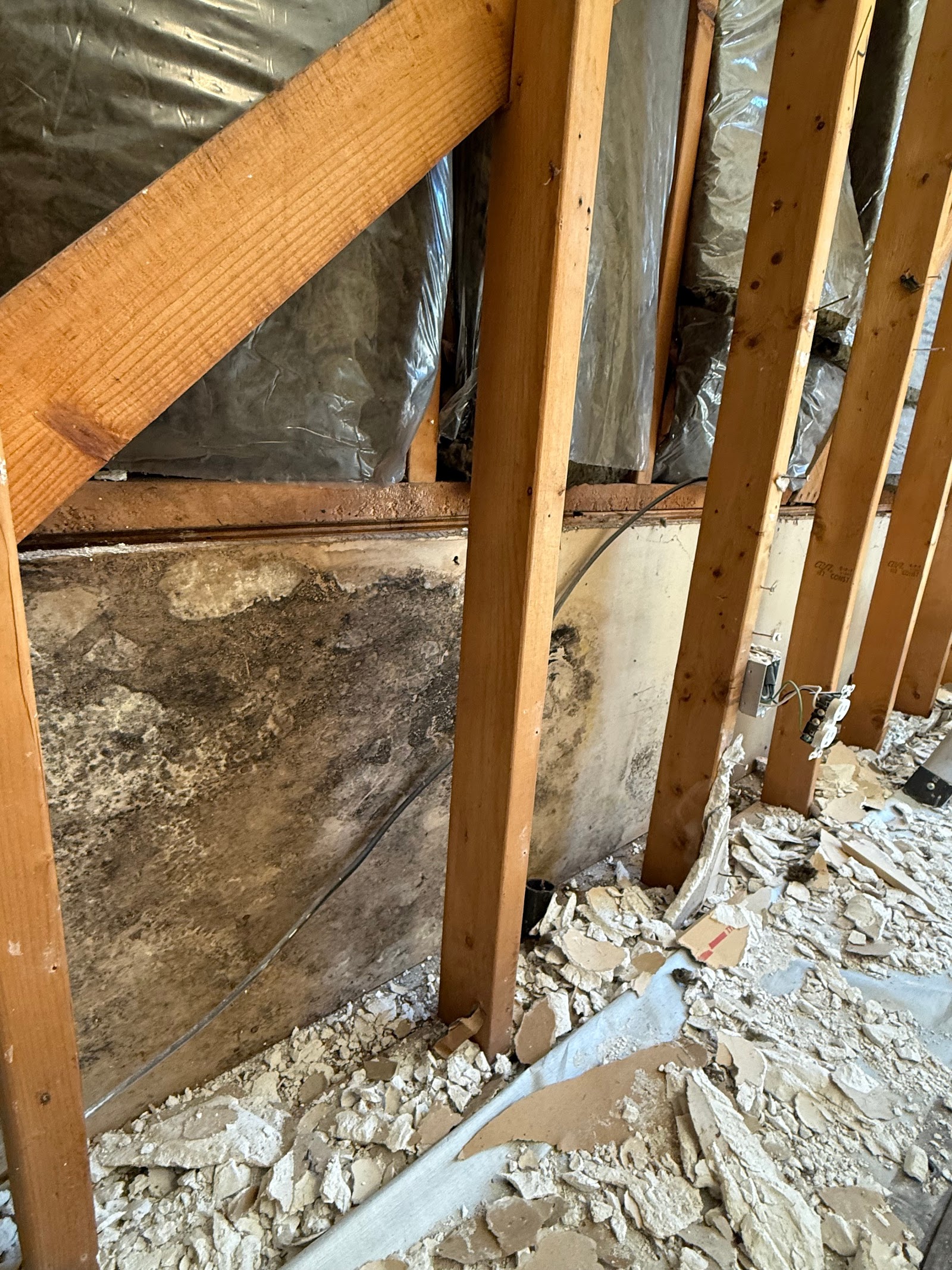 No Mold Atlanta work photo
