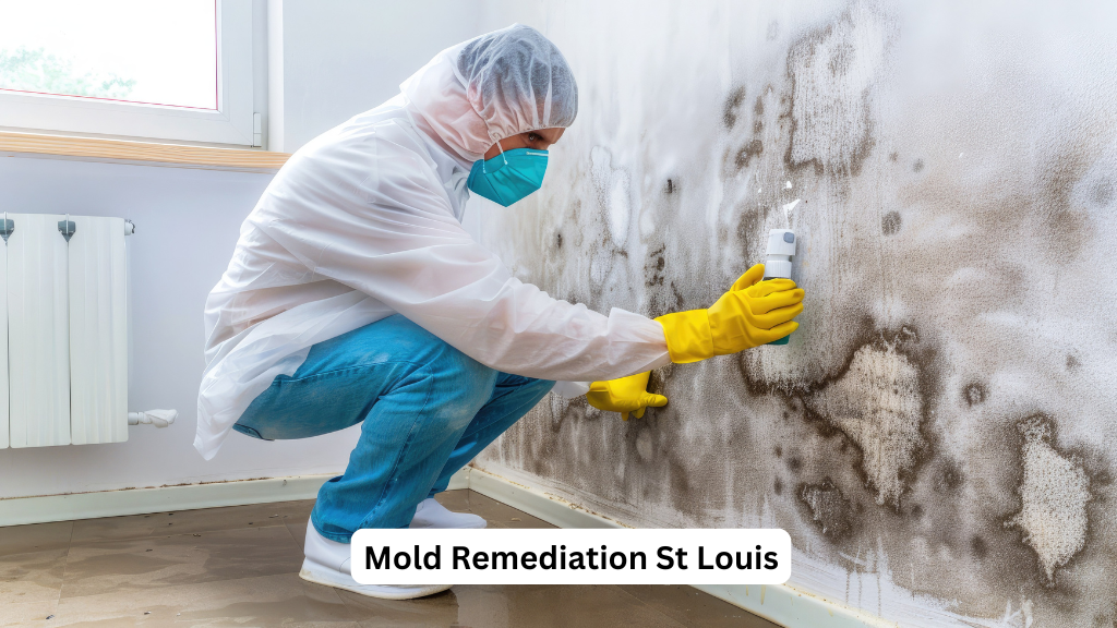 St Louis Mold Remediation Solutions cover photo