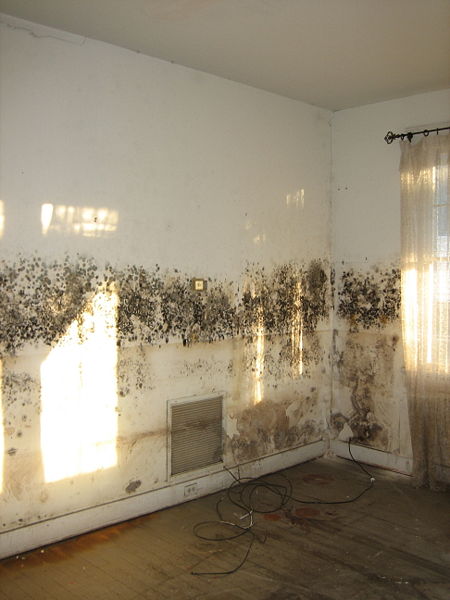 AWA Environmental - Saint Louis Mold Inspectors cover photo