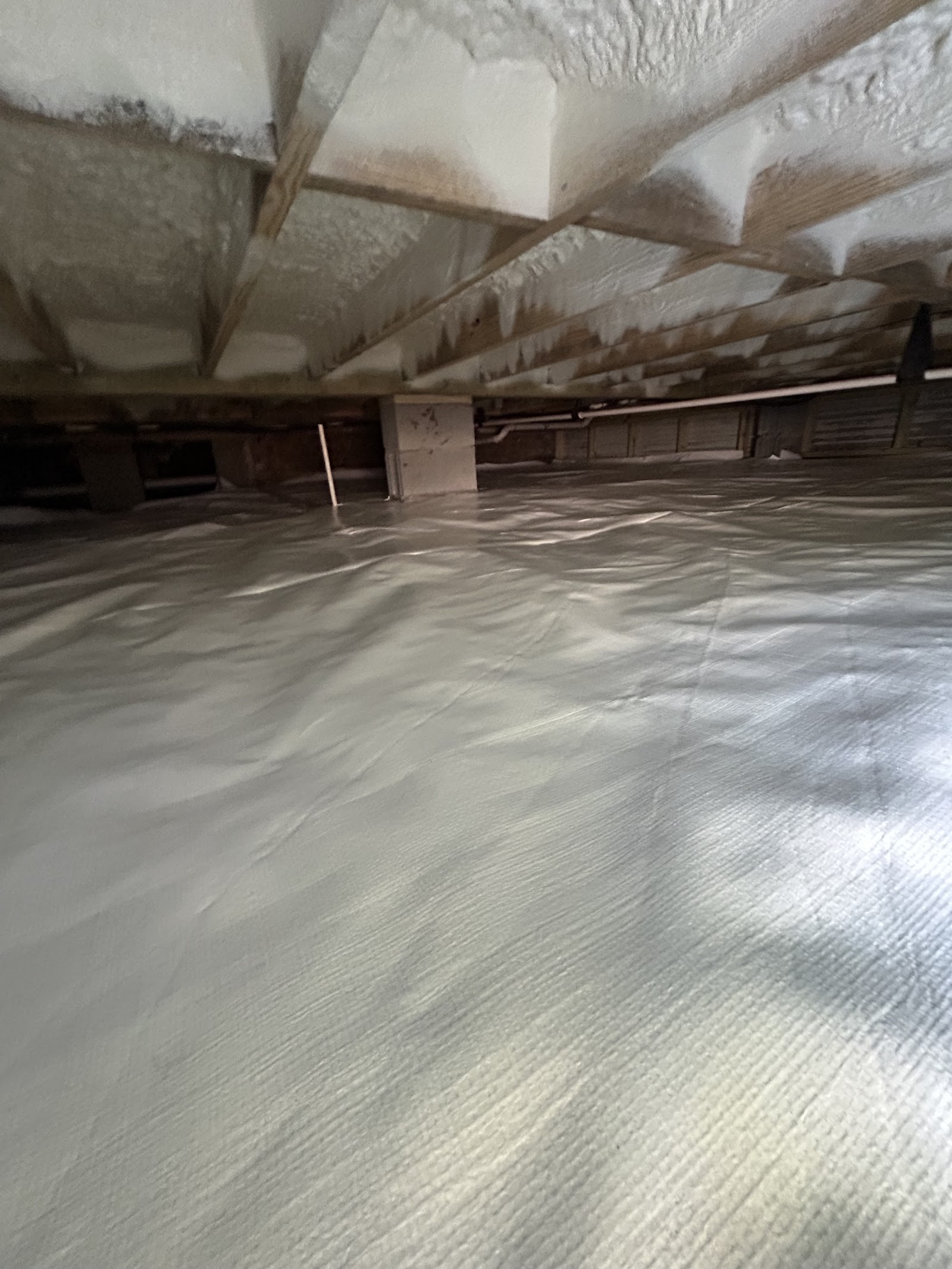 Palmetto Crawlspace work photo