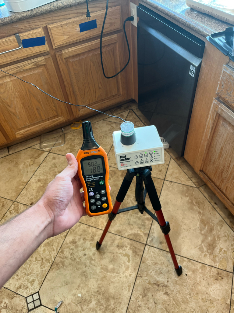 24H Mold Inspection of Taylor work photo