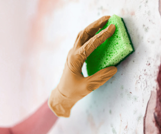 Cobb Emergency Water Damage Cleanup cover photo
