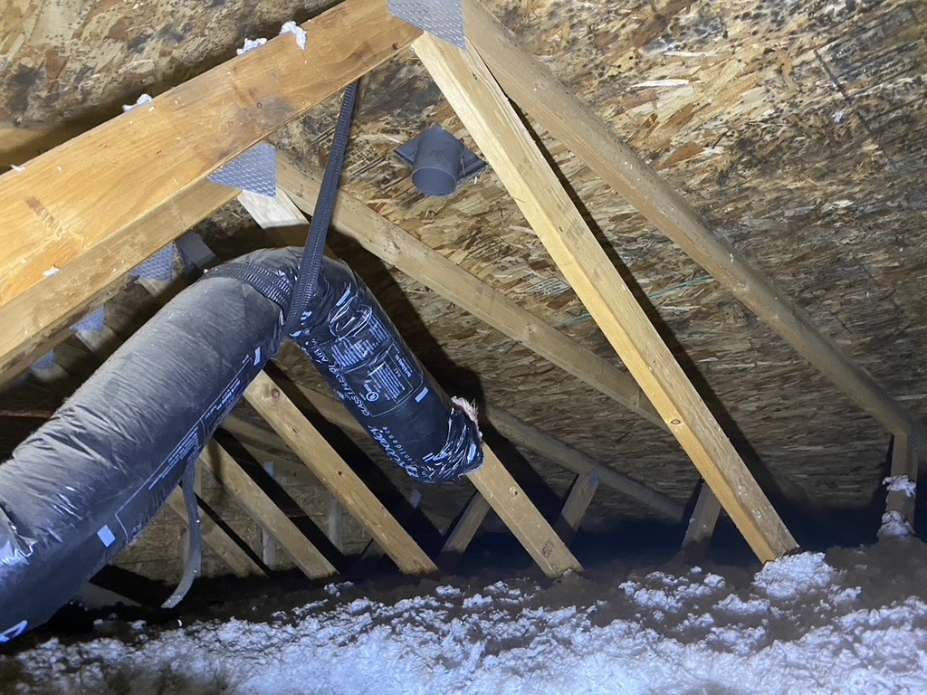 Mold Solutions NW work photo