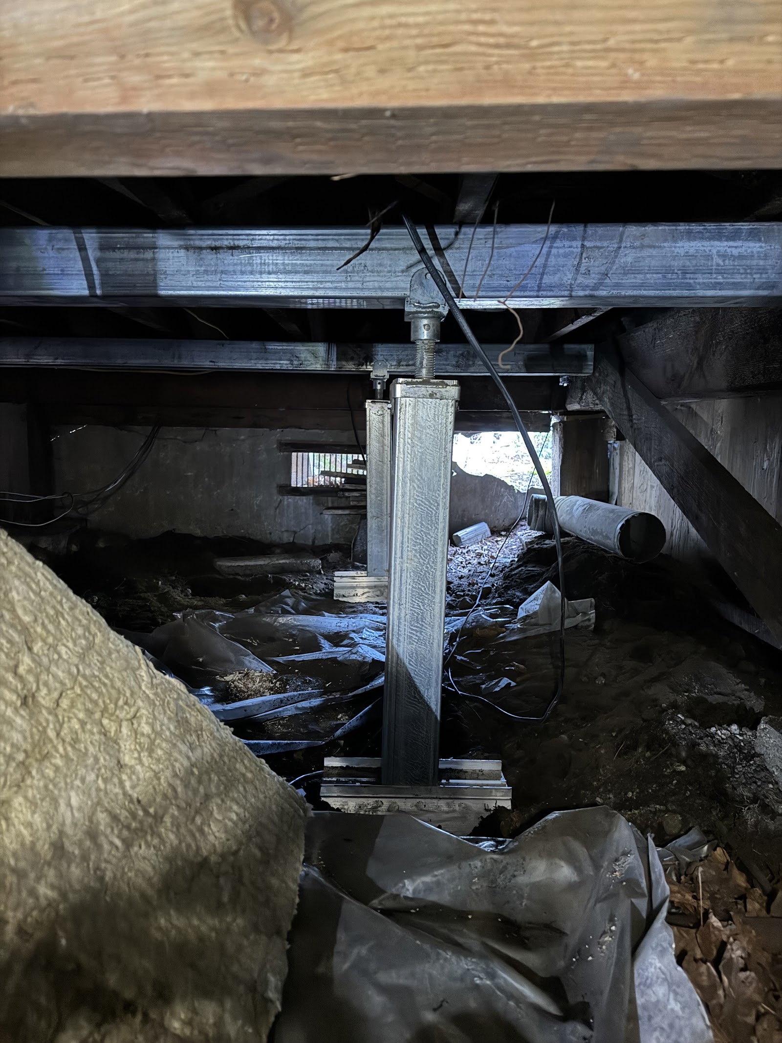 TerraFirma work photo