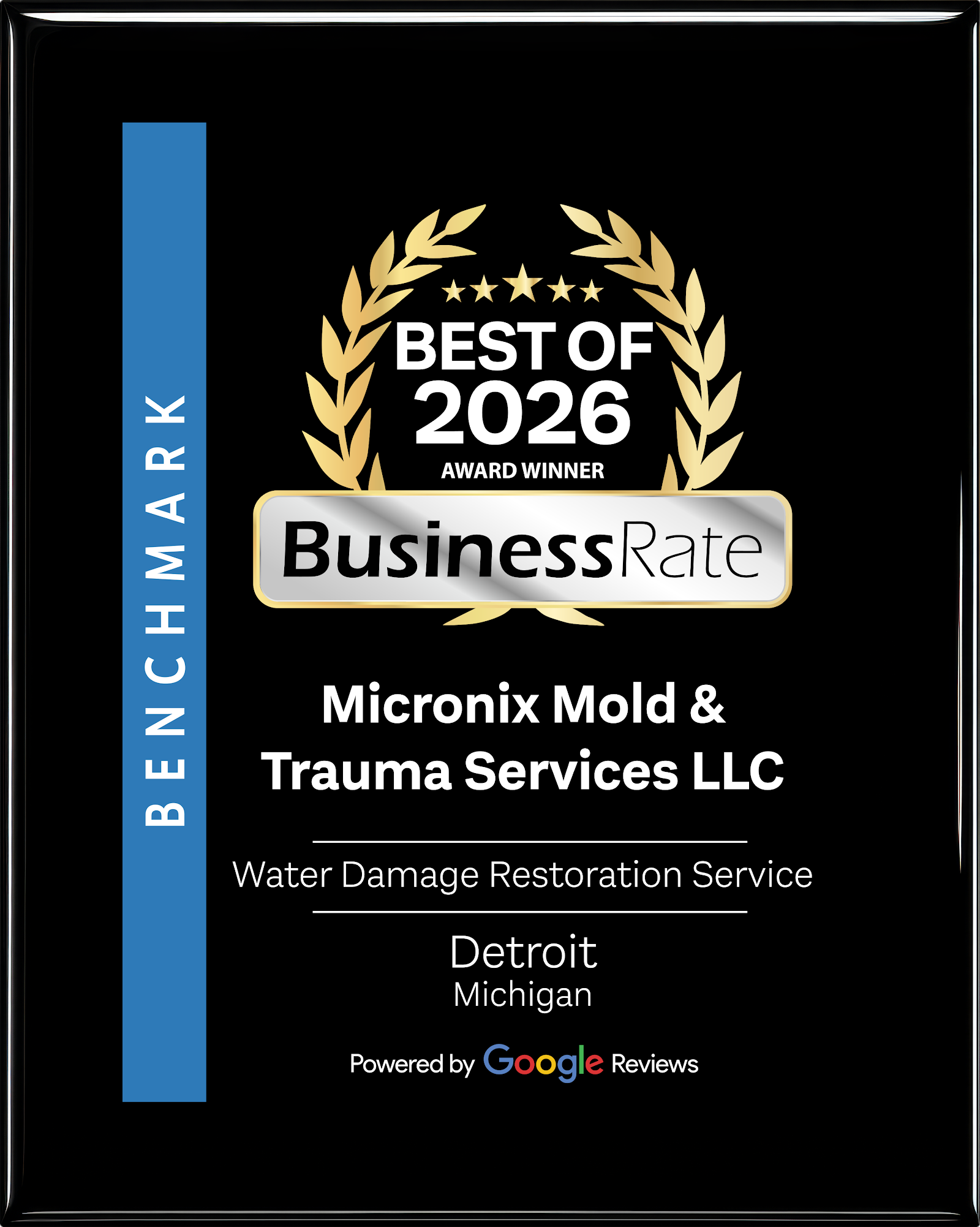 Micronix Mold & Trauma Services LLC work photo