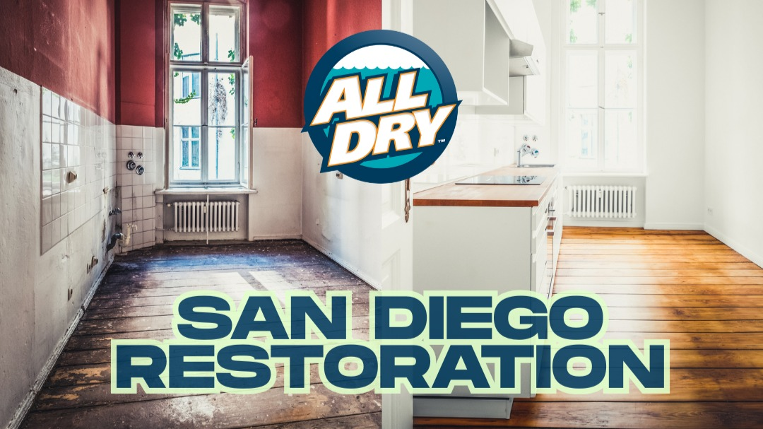 All Dry Services of North County San Diego work photo