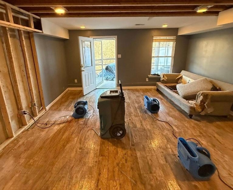 Mold Remediation Tampa Guys work photo